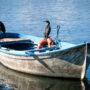 Copertina di “Torniamo a cacciarli, fanno troppi danni”: dieci Paesi Ue vogliono sparare ai cormorani. La specie è protetta