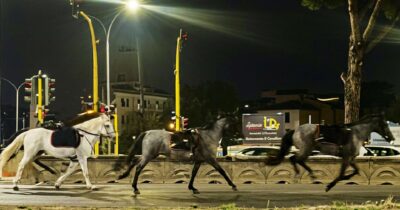 Copertina di Cavalli imbizzarriti a Roma, i botti rituali prima del 2 giugno erano espressamente vietati dall’Esercito
