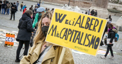 Copertina di Roma taglia 30mila alberi, il Campidoglio: “Ne abbiamo piantati il doppio”. Gli esperti: “Non basta mettere piante giovani”