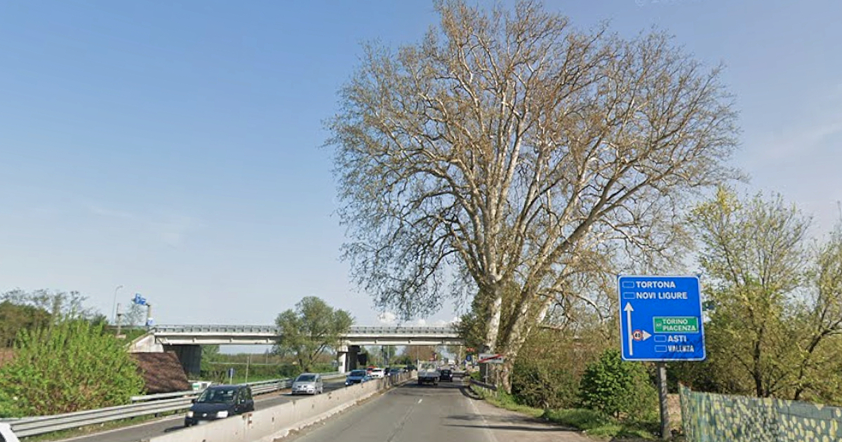 ho un8217utopia che spostino la strada attorno al platano di napoleone ad alessandria da Ilfattoquotidiano.it ho un8217utopia che spostino la strada attorno al platano di napoleone ad alessandria