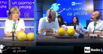 Copertina di Caso Minetti, Gomez: “Mai vista un’indagine per stabilire se qualcuno ha detto il vero e poi non viene interrogato”