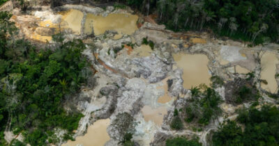 Copertina di Estrazione illegale di oro: le miniere abusive hanno distrutto 100mila ettari di foreste
