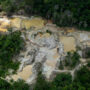 Copertina di Estrazione illegale di oro in Amazzonia: le miniere abusive hanno distrutto 100mila ettari di foreste protette in tre anni