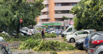 Copertina di Una tromba d’aria si abbatte su Roma: decine di alberi caduti e auto danneggiate in diverse zone