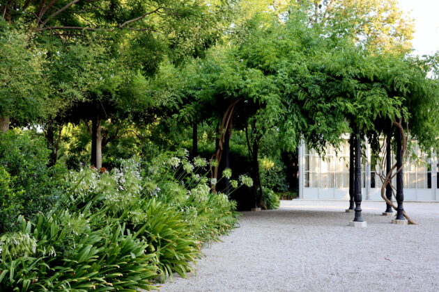 L’arte nascosta nei giardini segreti di Venezia: da Flora Fantastica al Redentore, il filo verde della Biennale 2026