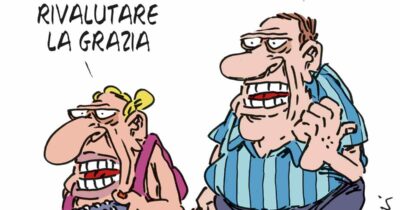 Copertina di La vignetta di Franzaroli