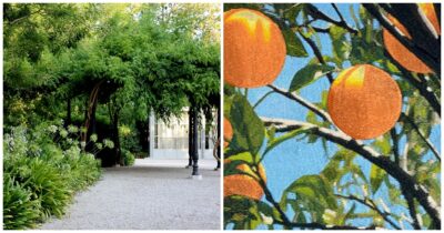 Copertina di L’arte nascosta nei giardini segreti di Venezia: da Flora Fantastica al Redentore, il filo verde della Biennale 2026