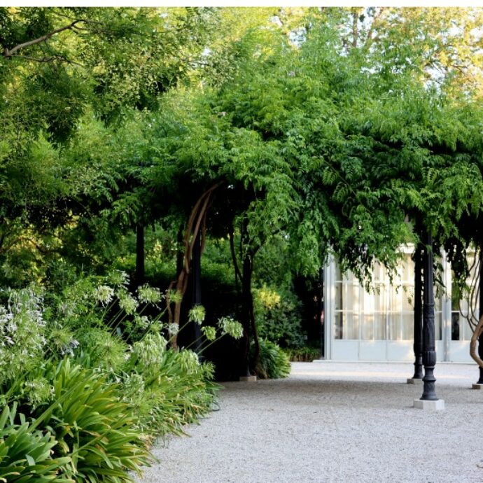 L’arte nascosta nei giardini segreti di Venezia: da Flora Fantastica al Redentore, il filo verde della Biennale 2026