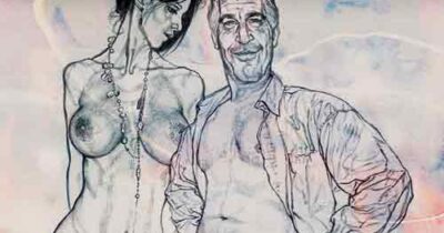 Copertina di La vignetta di Mannelli