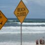 Copertina di Terzo attacco mortale di squalo in quattro settimane in Australia: muore pescatore di 35 anni