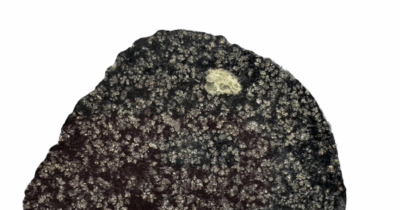 Copertina di Il mistero del meteorite caduto nel Sahara: “E’ la prova di un pianeta scomparso più grande della Luna, chissà quanti altri pianeti ci sono di cui non siamo a conoscenza”