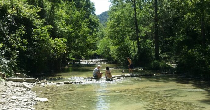 Ancora un’aggressione al Parco delle Foreste Casentinesi. E la politica plaude