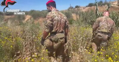 Copertina di Coltivazione piante di papavero da oppio in zona vietata per la frana di Niscemi: due denunciati