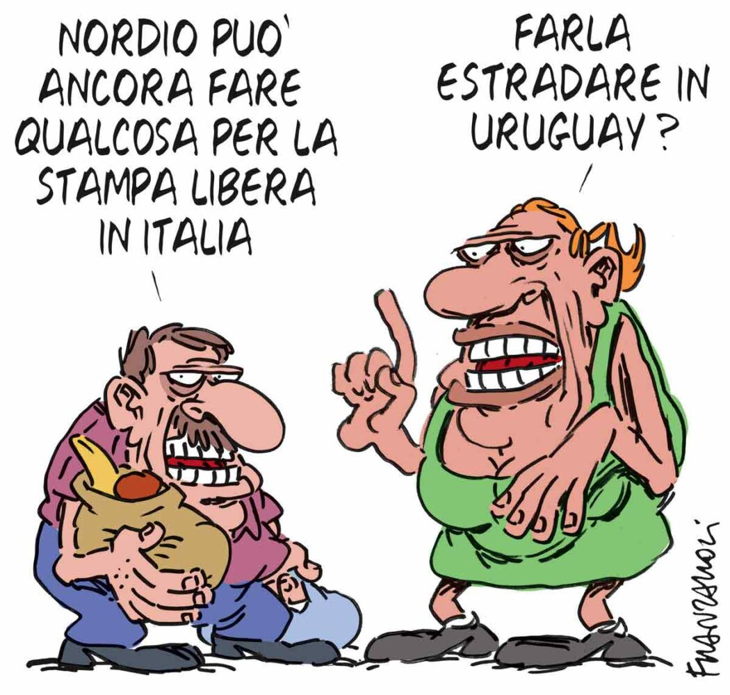 La vignetta di Franzaroli