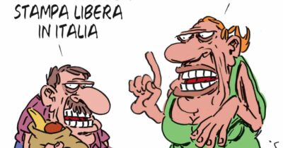 Copertina di La vignetta di Franzaroli
