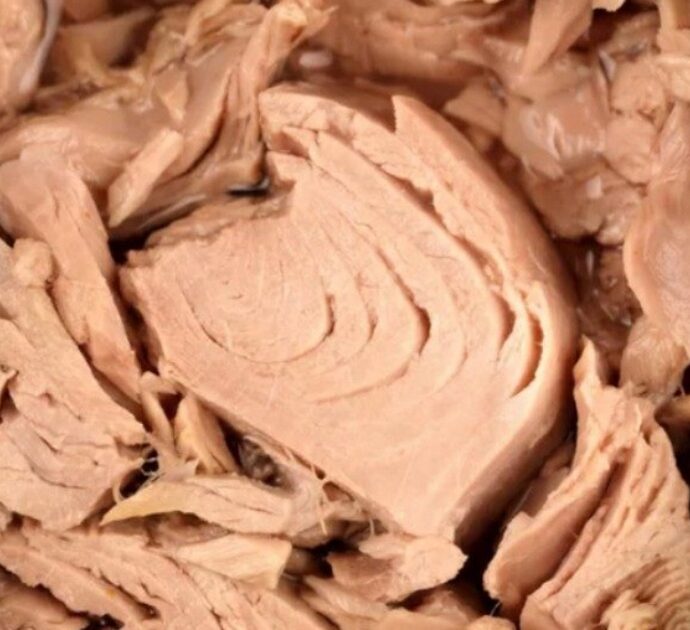 Come si sceglie il tonno in scatola migliore? Non solo marchio, prezzo e contenuto proteico: ecco cosa controllare prima dell’acquisto
