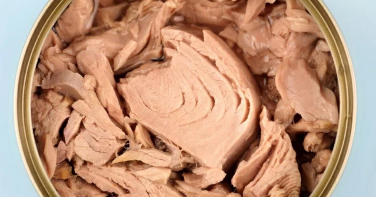 come si sceglie il tonno in scatola migliore non solo marchio prezzo e contenuto proteico ecco cosa controllare prima dell8217acquisto da Ilfattoquotidiano.it come si sceglie il tonno in scatola migliore non solo marchio prezzo e contenuto proteico ecco cosa controllare prima dell8217acquisto