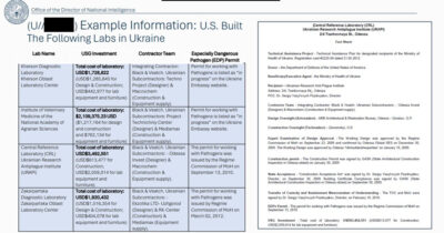 Copertina di Usa, declassificati i dossier sui laboratori biologici ucraini: la mappa dei fondi di Washington (e rispunta l’ombra di Biden jr)