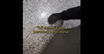 Copertina di Docente e attivista di Extinction Rebellion fermata e perquisita in aeroporto per tre volte in pochi mesi. “Ma non ho precedenti”