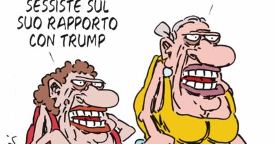Copertina di La vignetta di Franzaroli