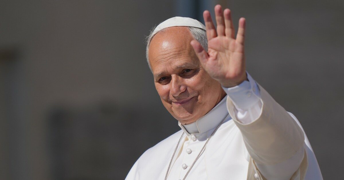 ddl caccia il papa scrive alla lipu 200 questione di grande rilevanza sociale e morale promuovere la tutela del creato da Ilfattoquotidiano.it ddl caccia il papa scrive alla lipu 200 questione di grande rilevanza sociale e morale promuovere la tutela del creato
