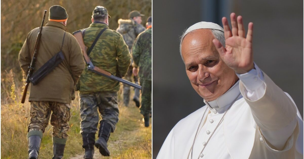 Caccia, il Senato discute il ddl che dà più libertà di sparare. E il Papa risponde alla Lipu: “Tema di grande rilevanza. Promuovere la tutela del creato”