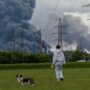 Copertina di Russia-Ucraina: Zelensky lancia droni. “Bruci anche Mosca”, mentre  l’Ue discute l’ingresso di Kiev