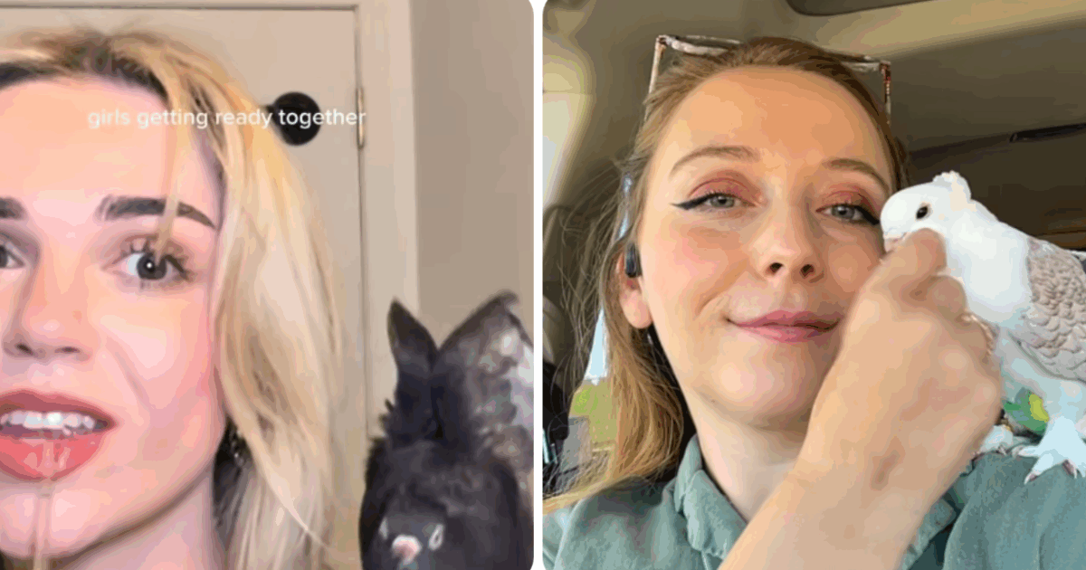 Piccioni che vanno al ristorante, salgono su un Uber e amano farsi bagni caldi? Non è uno scherzo ma una nuova tendenza social: ecco le pigeon girls