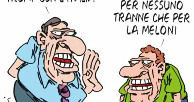 Copertina di La vignetta di Franzaroli