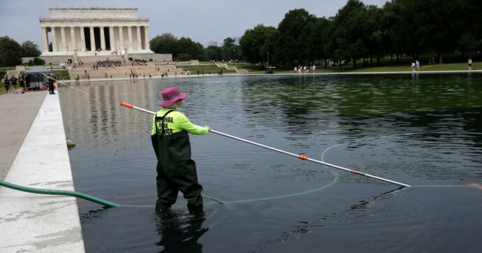 La ristrutturazione della vasca del Lincoln Memorial voluta da Trump è un disastro