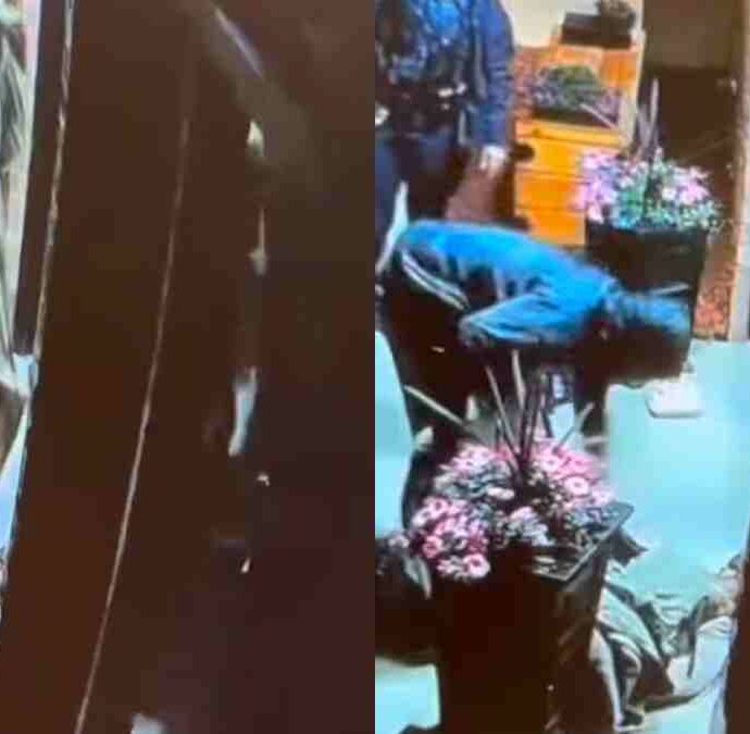 Uomo si accuccia davanti alla clinica veterinaria con la cagnolina investita e gravemente ferita: senza soldi per le cure resta tutta la notte accanto a lei