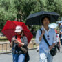 Copertina di Ombrellini anti-UV contro caldo e sole, servono davvero? L’allarme degli esperti: “Non bastano: i raggi si riflettono su sabbia, acqua e cemento”