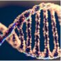 Copertina di Così cambia la mappa genetica della schizofrenia: lo studio sulle reti e i 641 geni mai associati