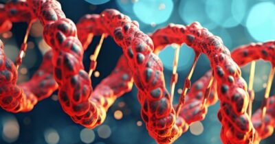 Copertina di Il paradosso del cervello: per crescere sani i neuroni spezzano il proprio Dna e poi lo riparano in tempi record