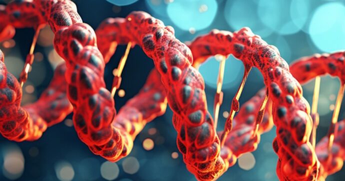 Il paradosso del cervello: per crescere sani i neuroni spezzano il proprio Dna e poi lo riparano in tempi record