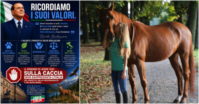 Copertina di Caccia, Nicole Berlusconi si schiera contro la riforma. L’appello a Forza Italia: “Votate contro”. Malumori di Pichetto e dei senatori azzurri sul ddl