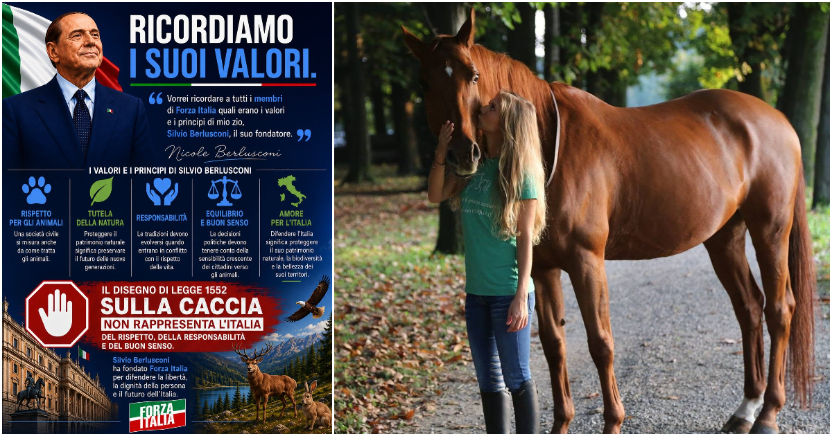 Caccia, Nicole Berlusconi si schiera contro la riforma. L’appello a Forza Italia: “Votate contro”. Malumori di Pichetto e dei senatori azzurri sul ddl