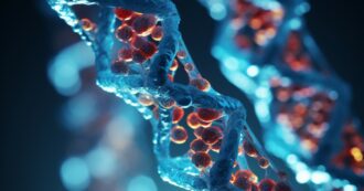 Copertina di Una nuova molecola rende i tumori più vulnerabili a radio e chemioterapia: “Così si possono ridurre le dosi”
