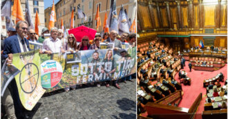 Copertina di “Ddl caccia? Pd e Italia viva complici della maggioranza”: il duro attacco delle associazioni ambientaliste e animaliste