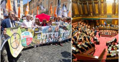 Copertina di Caccia, approvato in Senato il ddl “sparatutto”. Conte: “Va contro la Costituzione”. Bonelli: “Meloni insegue mondo venatorio e armieri”. In piazza ambientalisti e animalisti