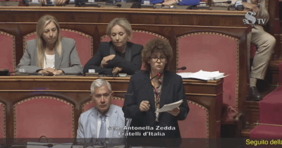 Copertina di “Sento un’oca starnazzare”, l’uscita infelice della senatrice di FdI mentre si parla di caccia: proprio l’oca selvatica è tra le nuove specie a cui si potrà sparare