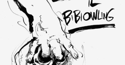 Copertina di La vignetta di Beppe Mora