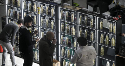 Copertina di Cannabis light, anche il Tar piccona il decreto Sicurezza. Mentre i sindaci (di destra e sinistra) chiudono i negozi