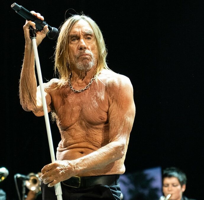 Iggy Pop si chiude in una bara, ma tanto chi l’ammazza?