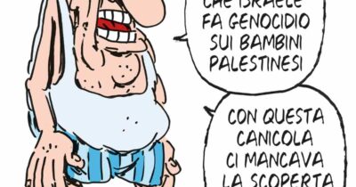 Copertina di La vignetta di Franzaroli