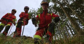 Copertina di “Forest – Il futuro ha radici antiche”, il doc che racconta il lavoro forestale: da Vaia al bostrico, una riflessione sul nostro futuro