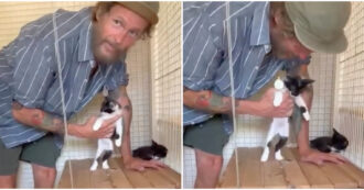 Copertina di “Questi gattini mitici sono stati abbandonati in strada. Se c’è qualche anima gentile che ha voglia di occuparsene. Non abbandonate gli animali”: l’appello di Jovanotti – IL VIDEO