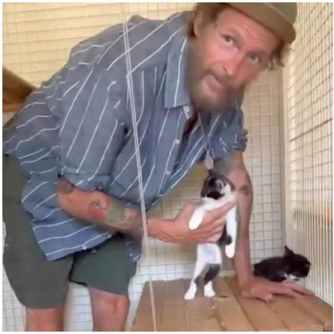 “Questi gattini mitici sono stati abbandonati in strada. Se c’è qualche anima gentile che ha voglia di occuparsene. Non abbandonate gli animali”: l’appello di Jovanotti – IL VIDEO
