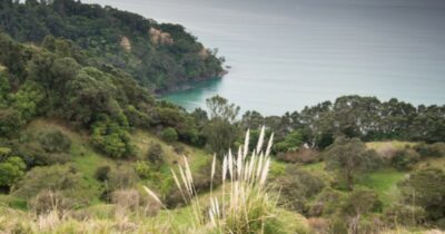 Copertina di 25enne esce in kayak per una battuta di pesca e scompare nel nulla: i resti identificati dopo oltre due anni. La mamma: “Aspettavo questa telefonata”