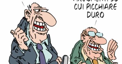 Copertina di La vignetta di Franzaroli